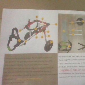 Pet Wheelchair for Rear Legs ( Small)